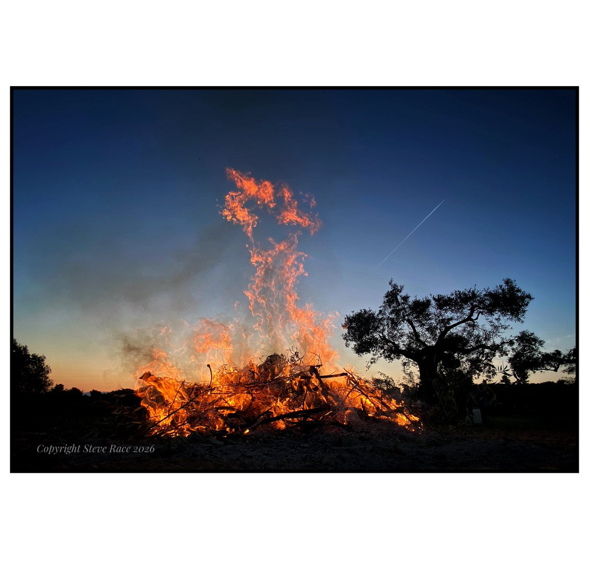 Steve Race tweet media