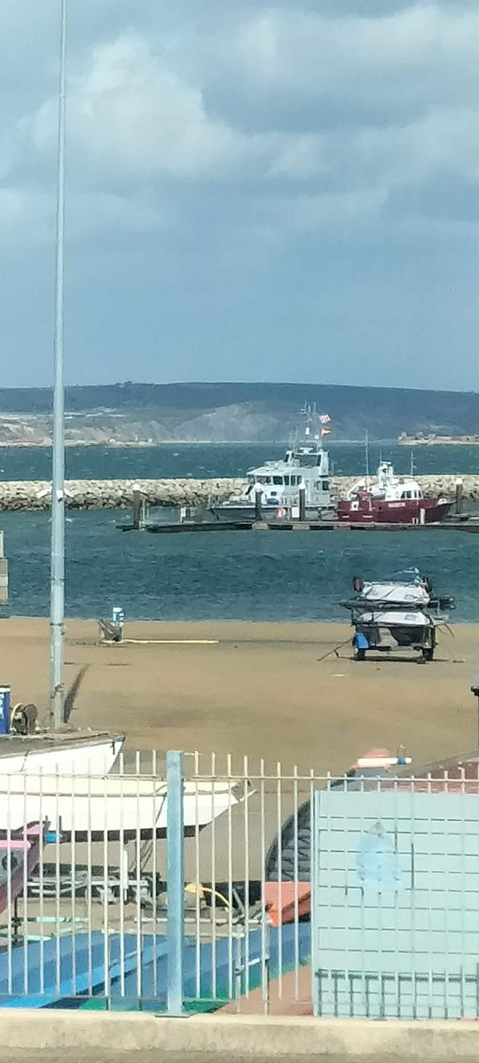 Justyn Ayton tweet media