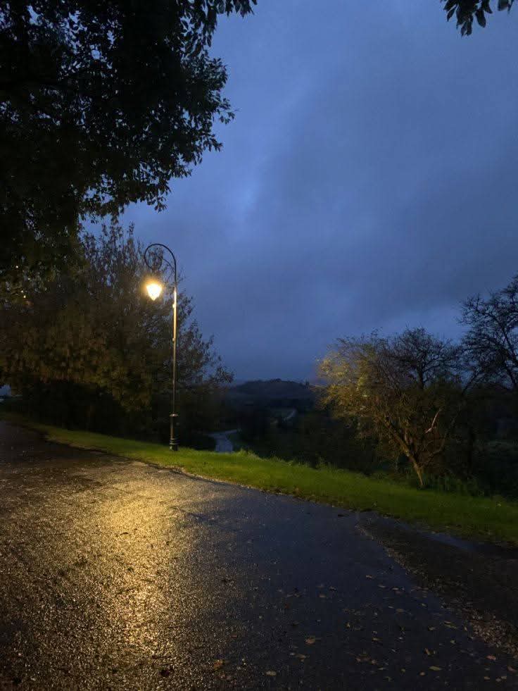 Purely Green tweet media