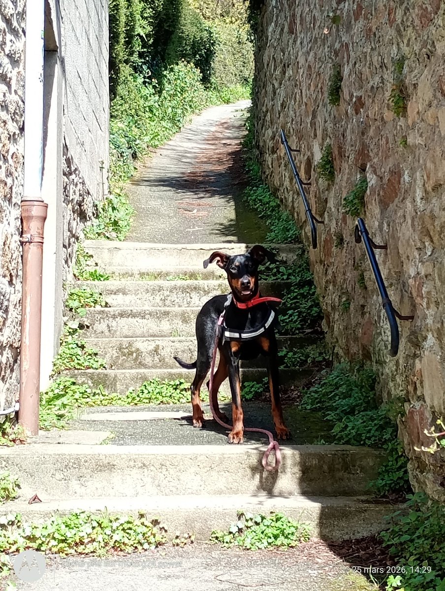 Thibault Chaplain 🏈🍺✝️ ⚾ tweet media