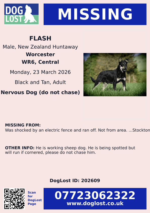 chris towers tweet media