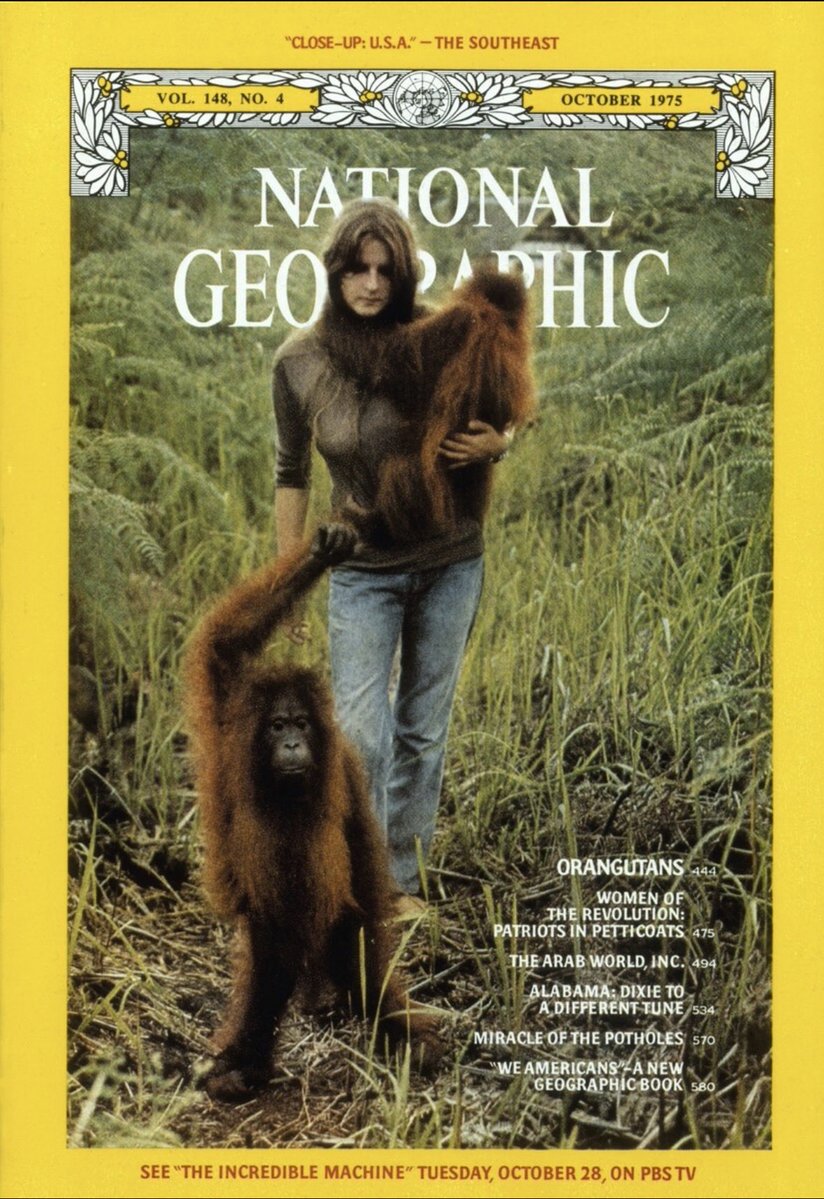 William O'Connor tweet media