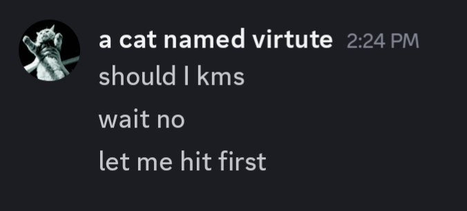 rose 🪽 tweet media