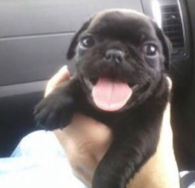 veveto ⚖️🩺 tweet media