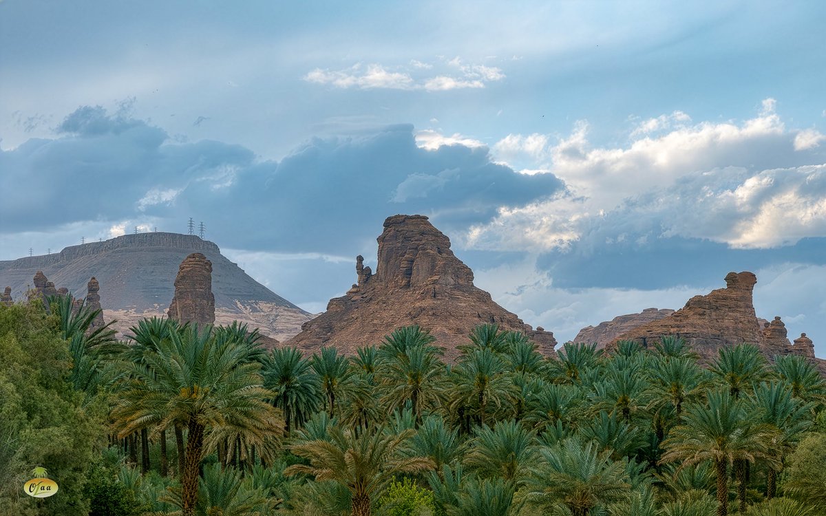 محمد بن أحمد الفريدي tweet media