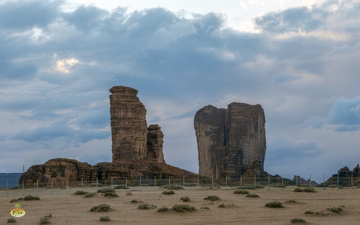 محمد بن أحمد الفريدي tweet media