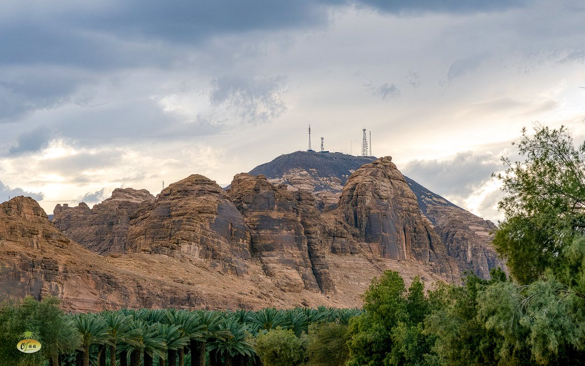 محمد بن أحمد الفريدي tweet media