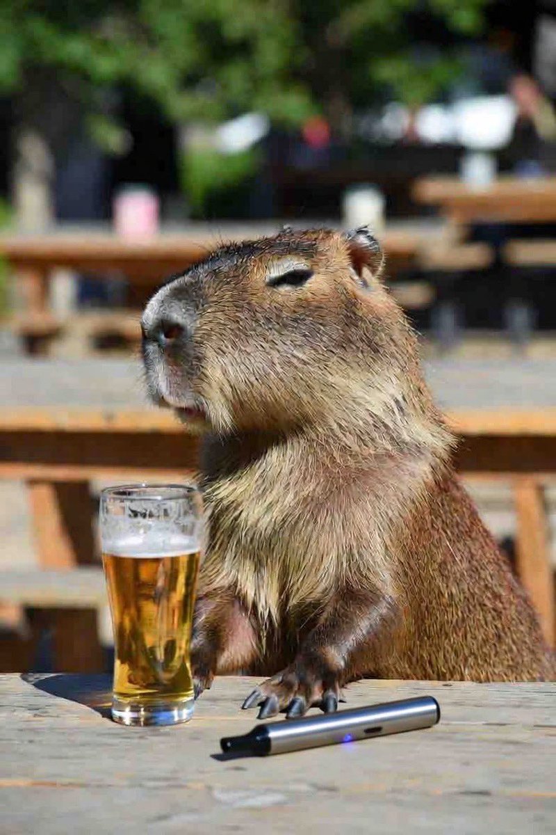 vanEssen tweet media