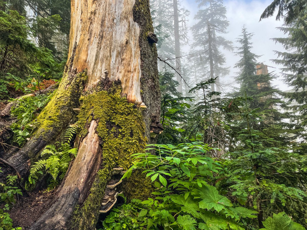 Benji Backer tweet media