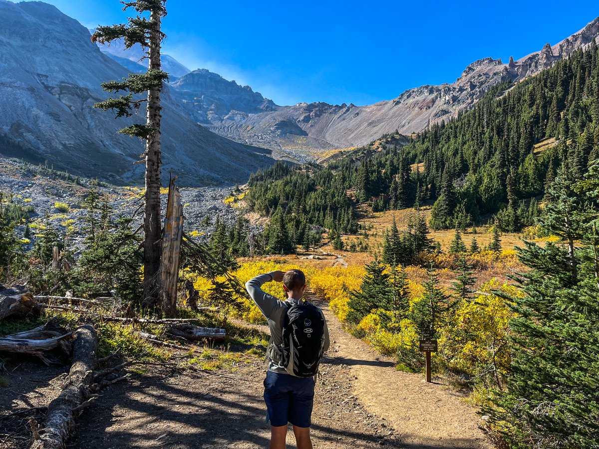 Benji Backer tweet media