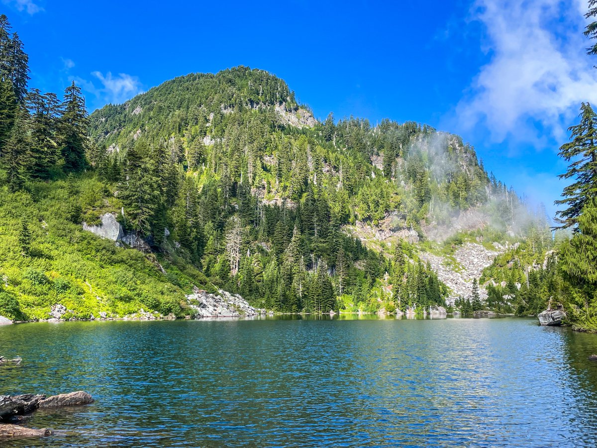 Benji Backer tweet media