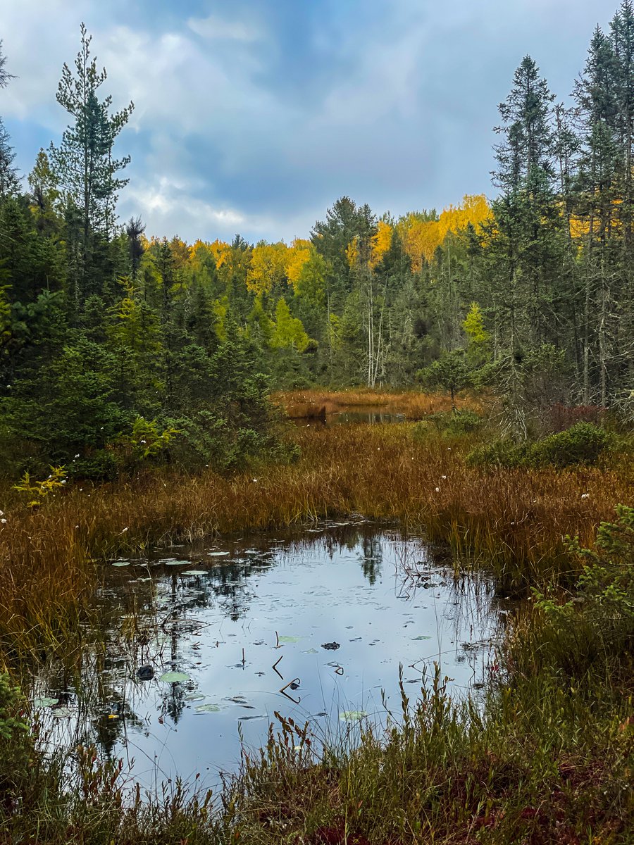 Benji Backer tweet media