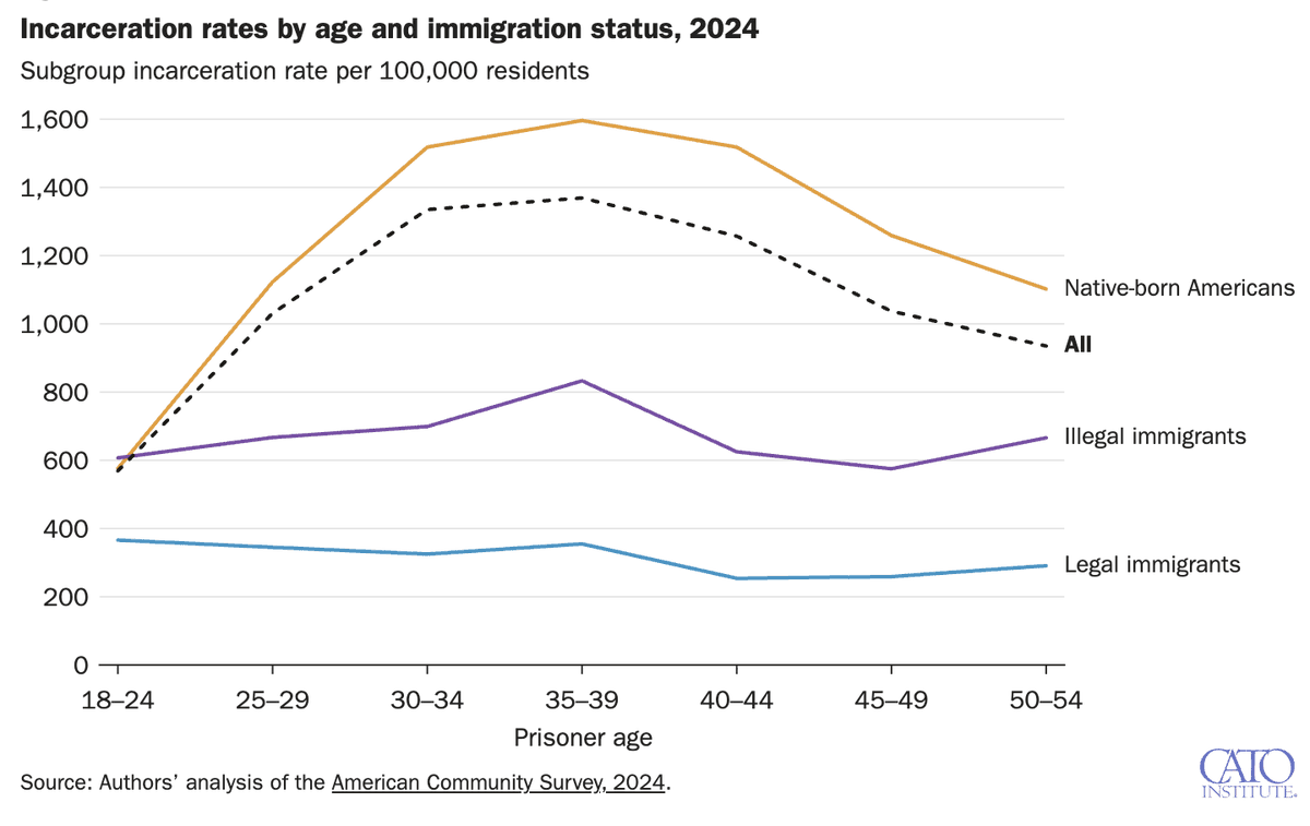 David J. Bier tweet media