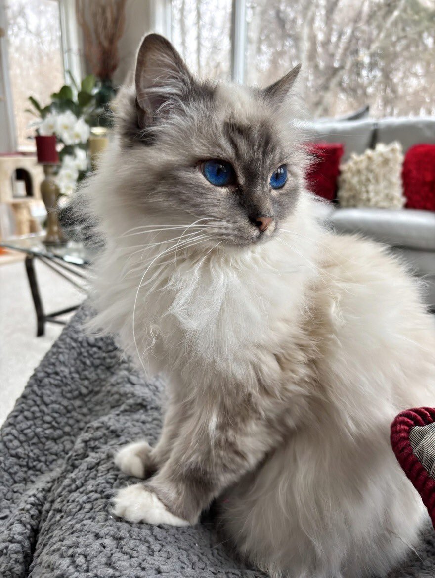 Elizabeth Griffith tweet media