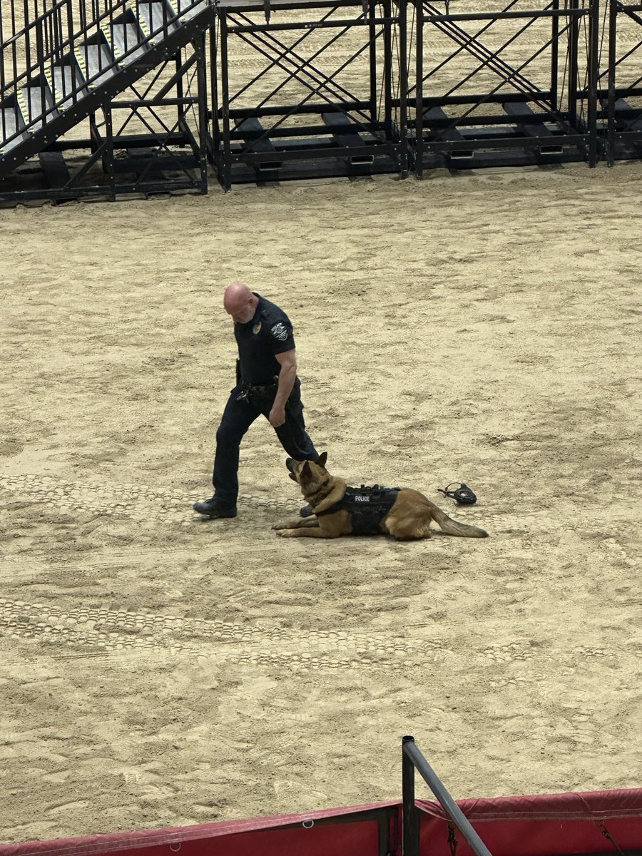 LVMPDLaughlin's tweet photo. 𝗟𝗩𝗠𝗣𝗗 𝗞-𝟵 𝗧𝗥𝗜𝗔𝗟𝗦 🚓 🐕

What a weekend of fun! This past Sunday K-9s from across the country competed in various different obstacle course.
#k9 #community https://t.co/s3x2fPwR2l