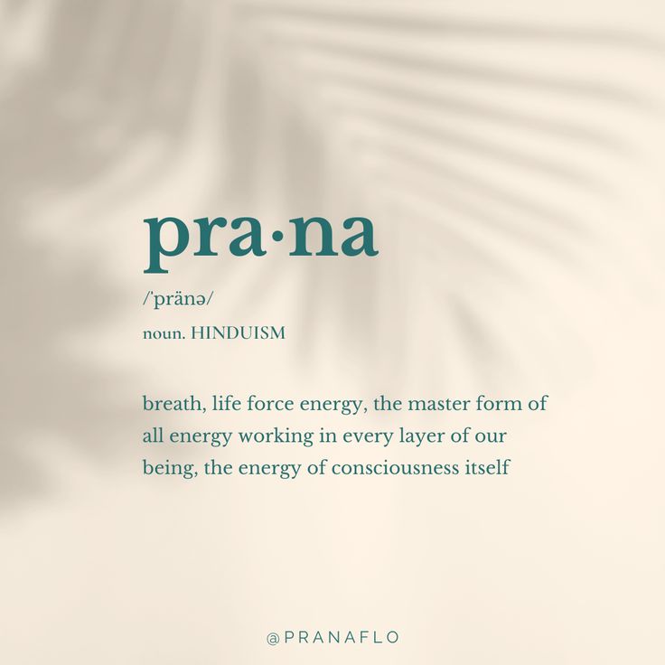 Zen masters tweet media