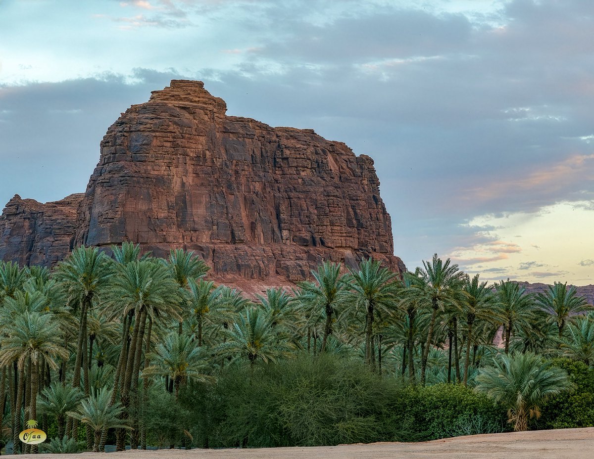 محمد بن أحمد الفريدي tweet media