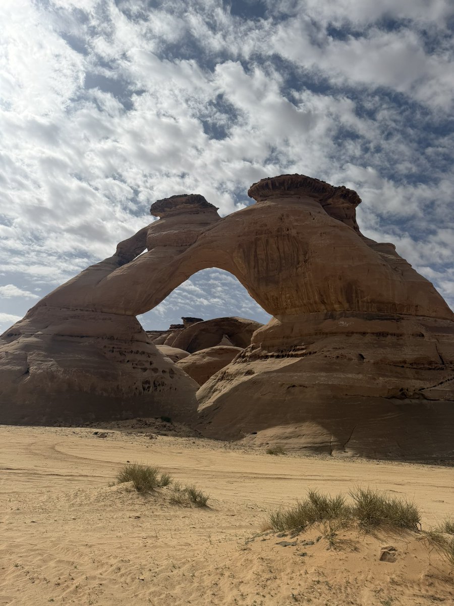 مسفر بن علي القحطاني tweet media