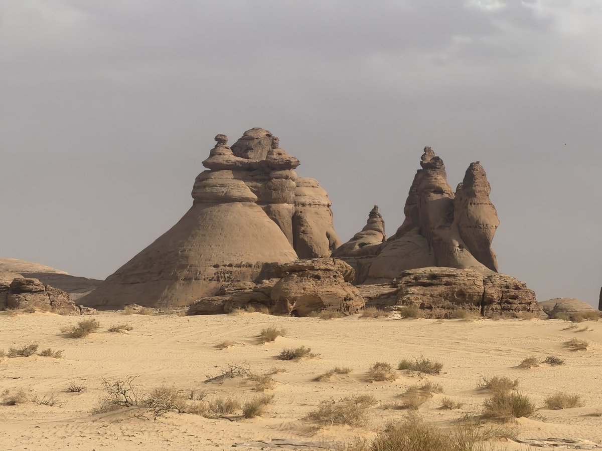 مسفر بن علي القحطاني tweet media