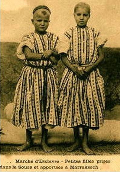 خيمة العروبية tweet media