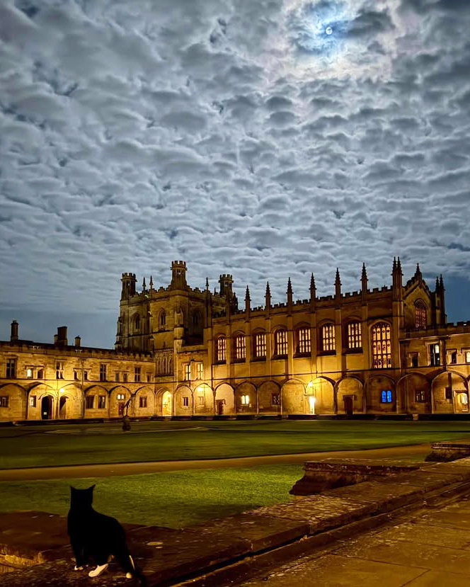 University of Oxford tweet media