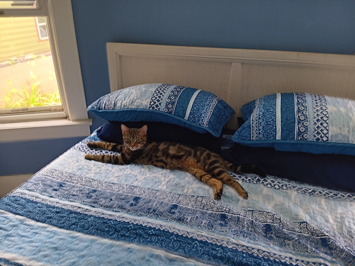 Chris Stucchio tweet media