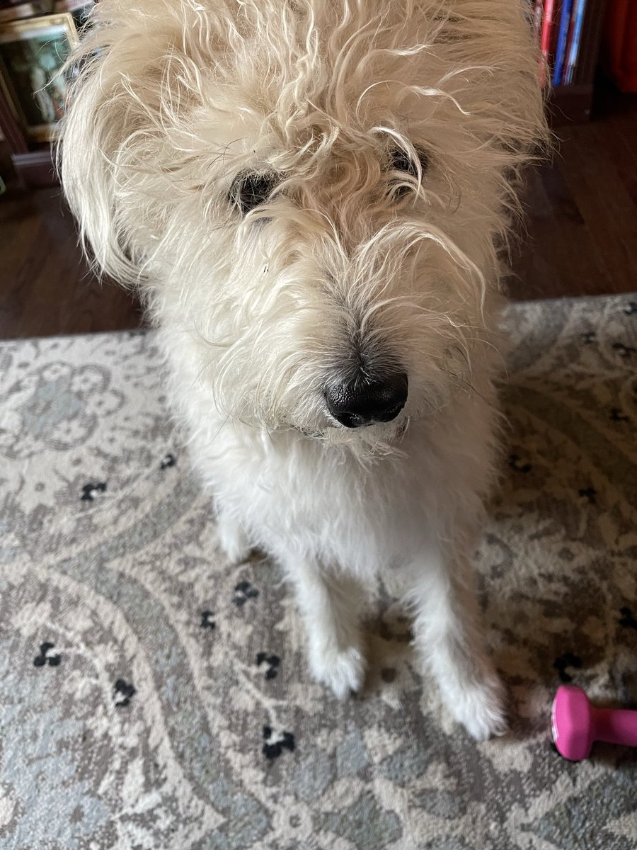 Francesca tweet media