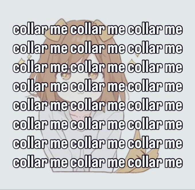 Queen Liza🩷🤍💙 tweet media