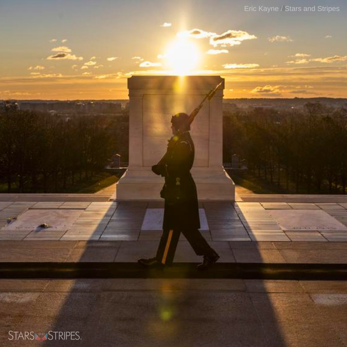 Stars and Stripes tweet media