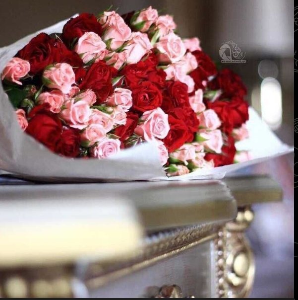 المتألقــة،🎀 tweet media