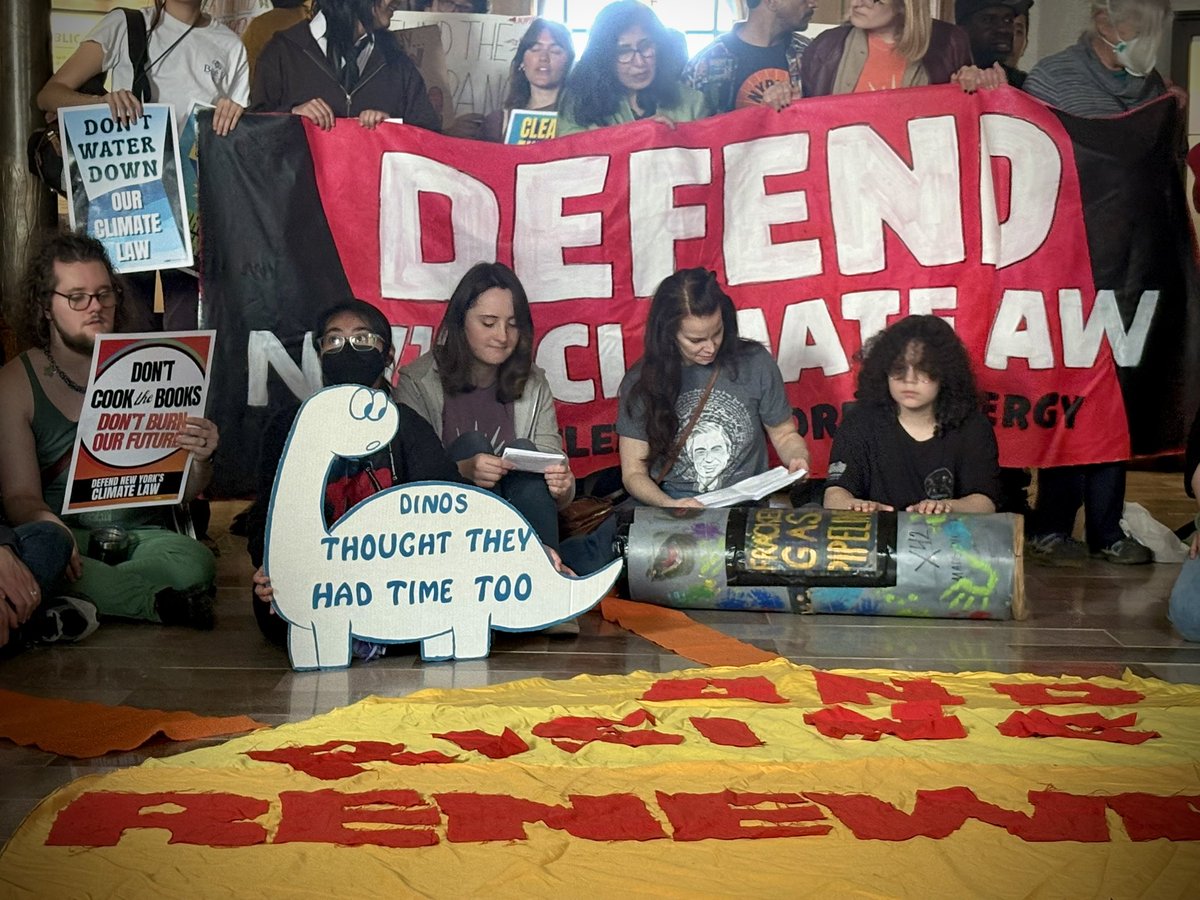 Emily Gallagher tweet media