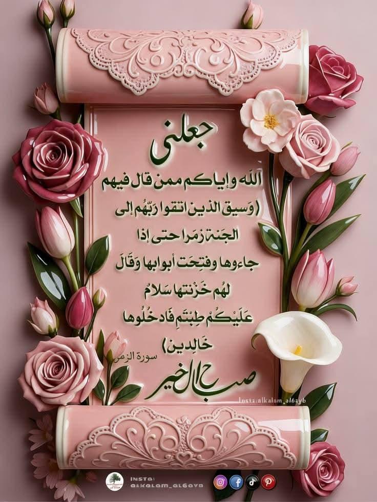 Ali tweet media