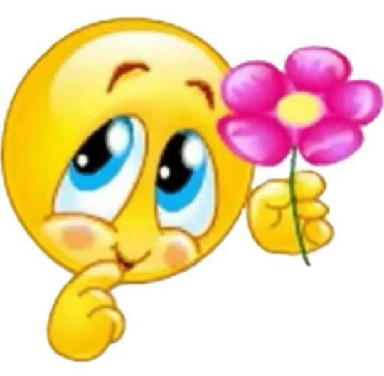 phoenix⋆˚࿔ tweet media