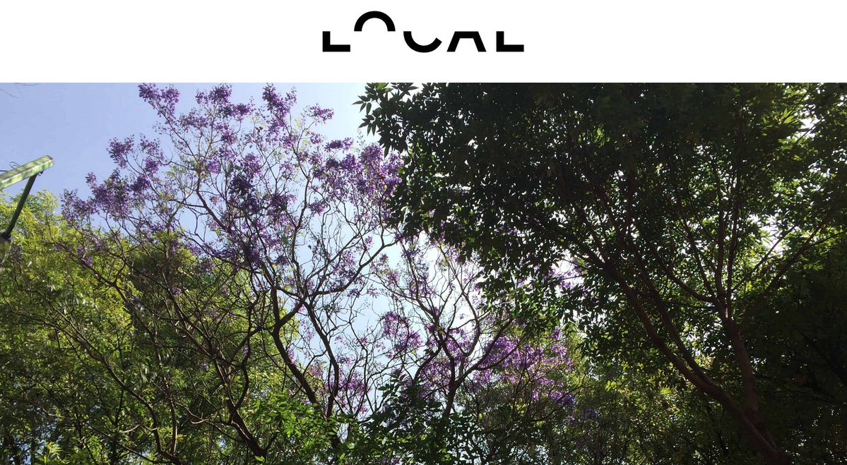 local.mx tweet media