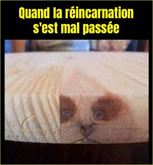 D🅾️Ⓜ️é 1979 ⭐⭐⭐ tweet media