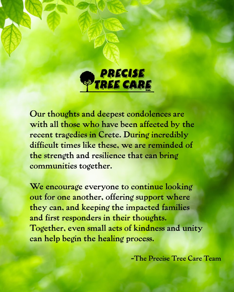 PreciseTreeCare's tweet photo. https://t.co/W7rgDEhsG1