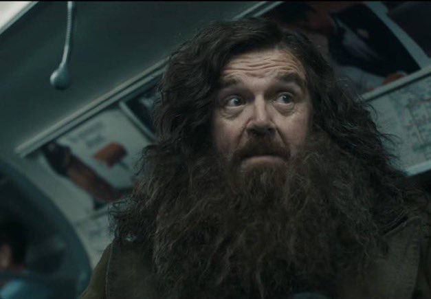 Daily Harry Potter tweet media