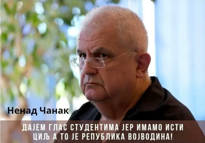 Milena Bogdanovic tweet media