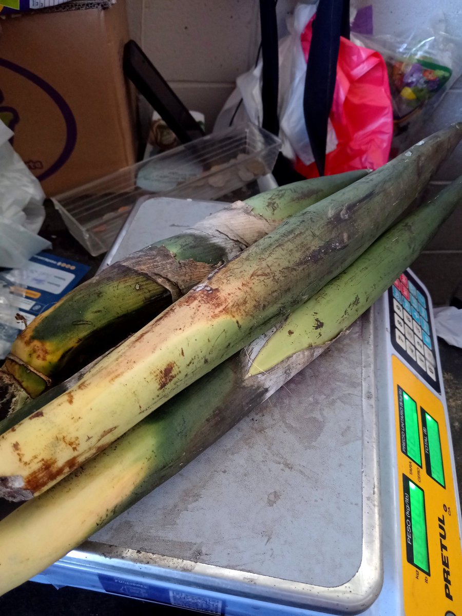 Mauricio 🇸🇻 tweet media