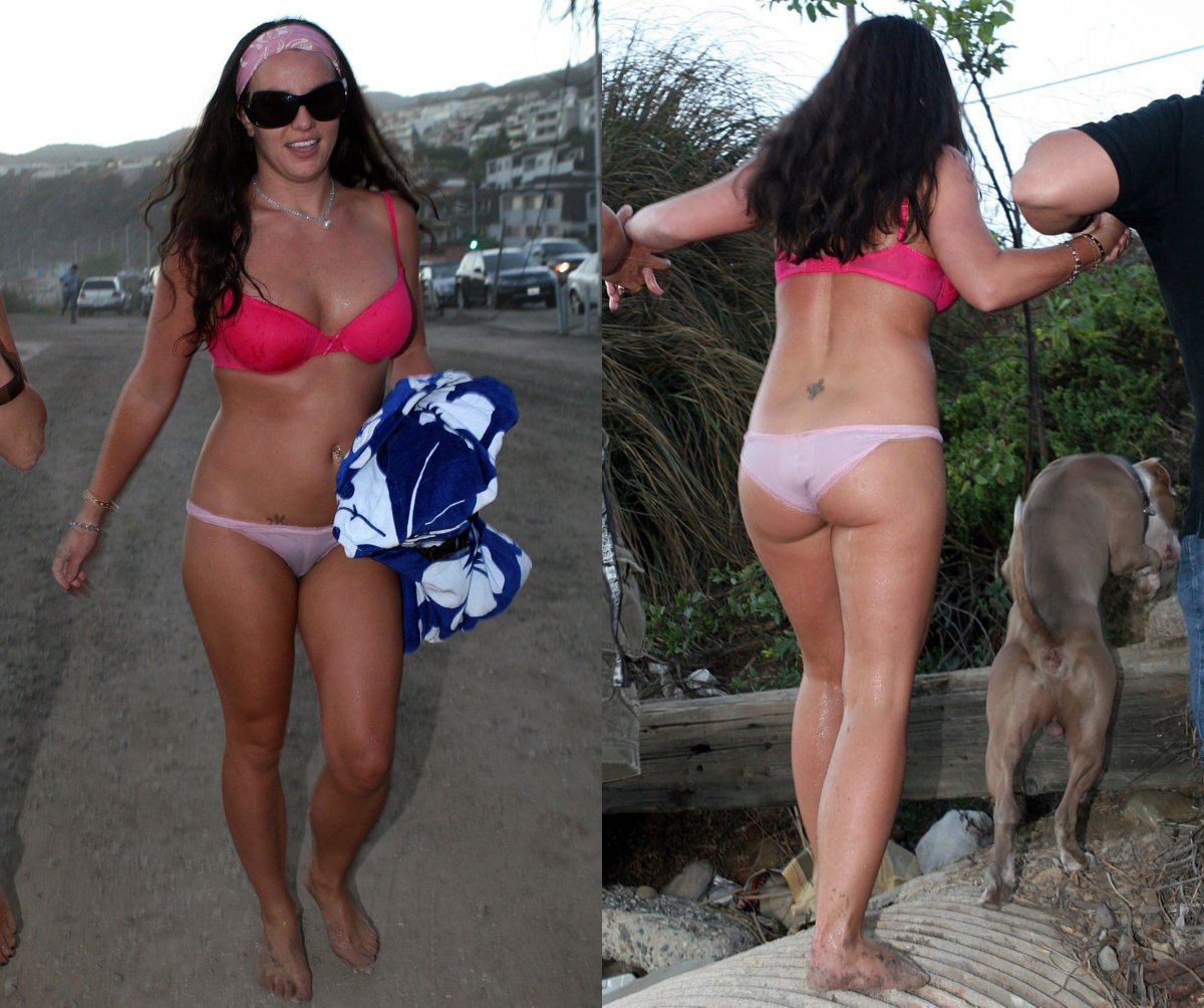 Hound dog Jay tweet media