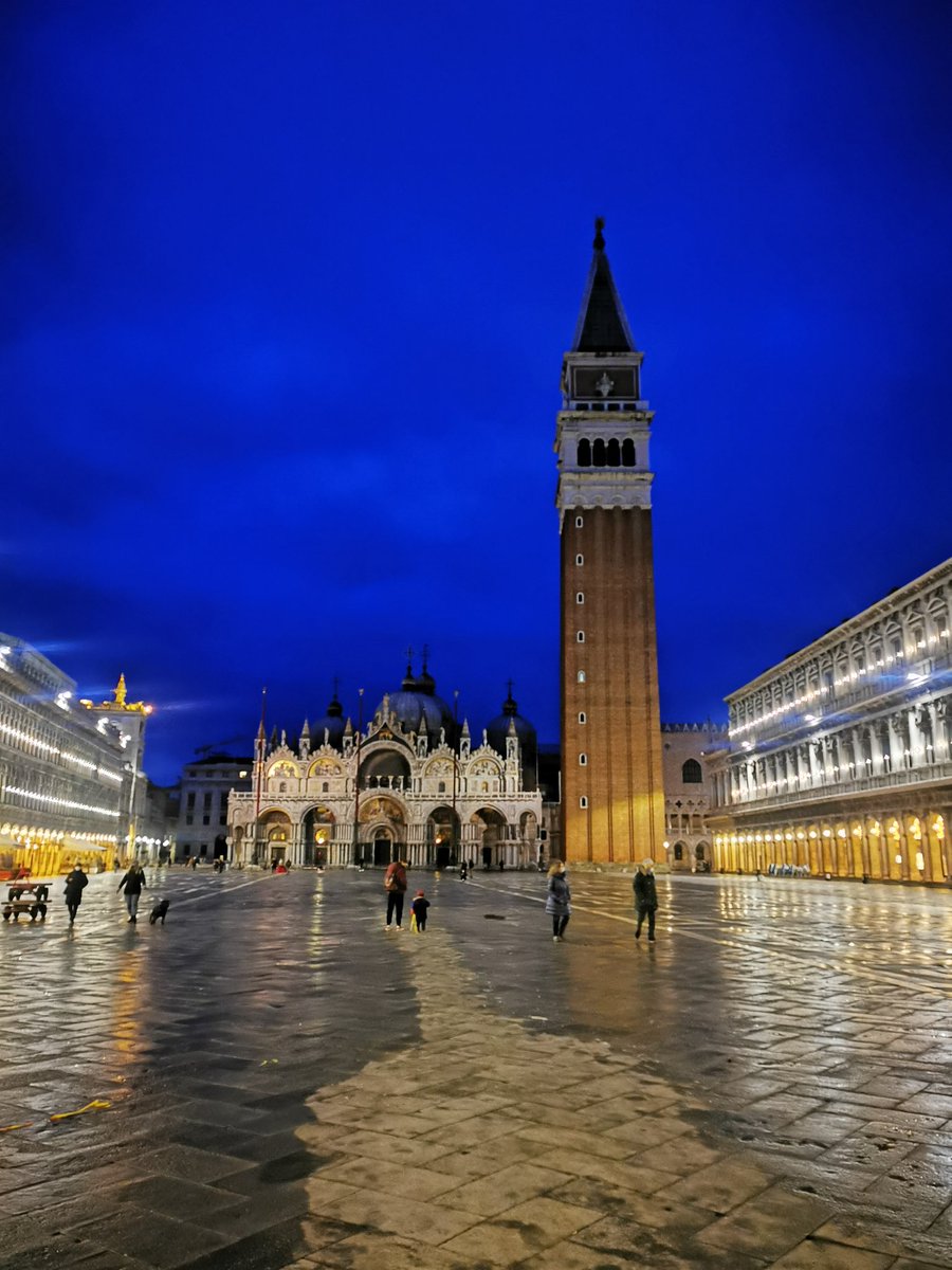 Monica 🍀⚘️🌍📚🐞🎧 tweet media