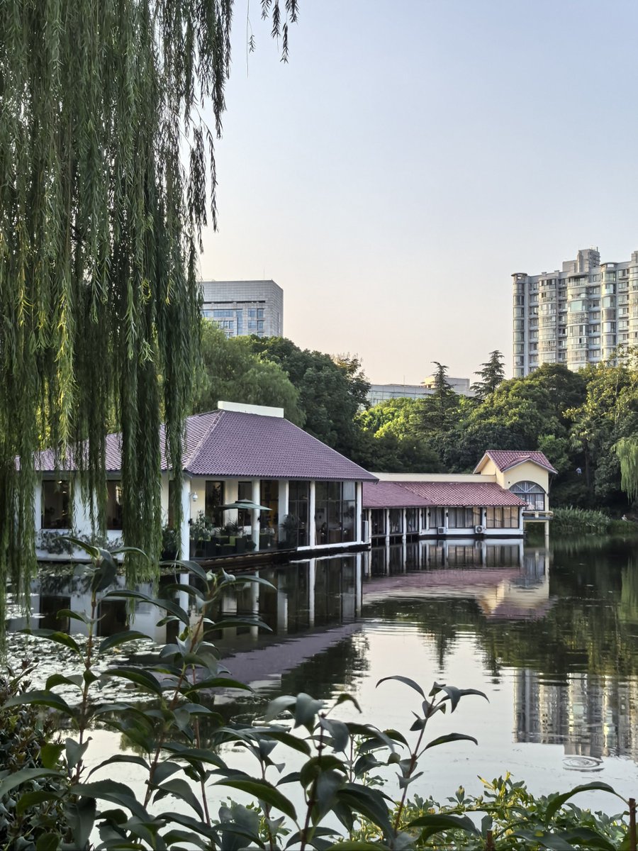 ghadeer el-gamal tweet media