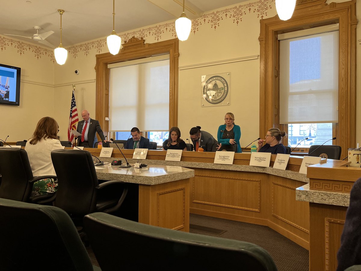 Hearing on #coleg HB1317 Transition Committee for merger of Department of Higher Ed &amp; Department of Labor &amp; Employment in House Ed