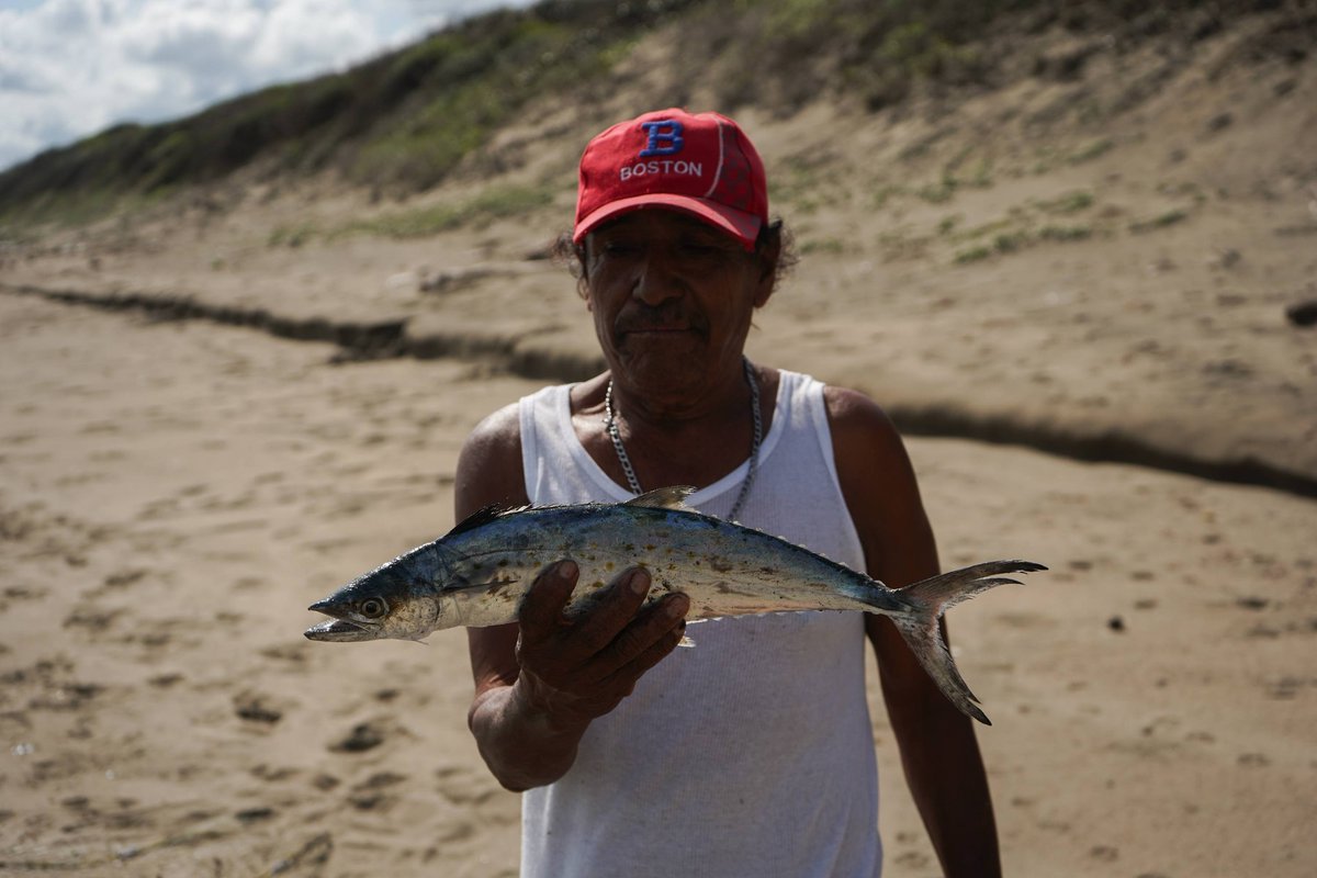 sietediasn's tweet photo. Así se ve el derrame en #Veracruz.

Chapopote, peces muertos y afectaciones en Barra de Sontecomapan, en #Catemaco.

Fotorreportaje desde la zona👇
https://t.co/xO1EtfMvXd

#Veracruz #CrisisAmbiental #México https://t.co/znH5ZCNHqr
