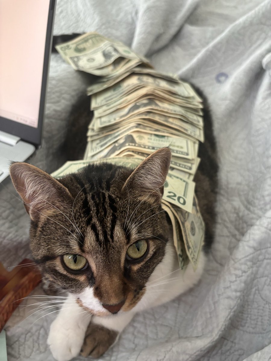 dreamsoexotic's tweet photo. @ysuckme sounds like money too https://t.co/bMneBX24XB