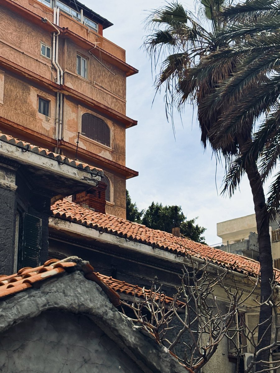 ياسمين tweet media