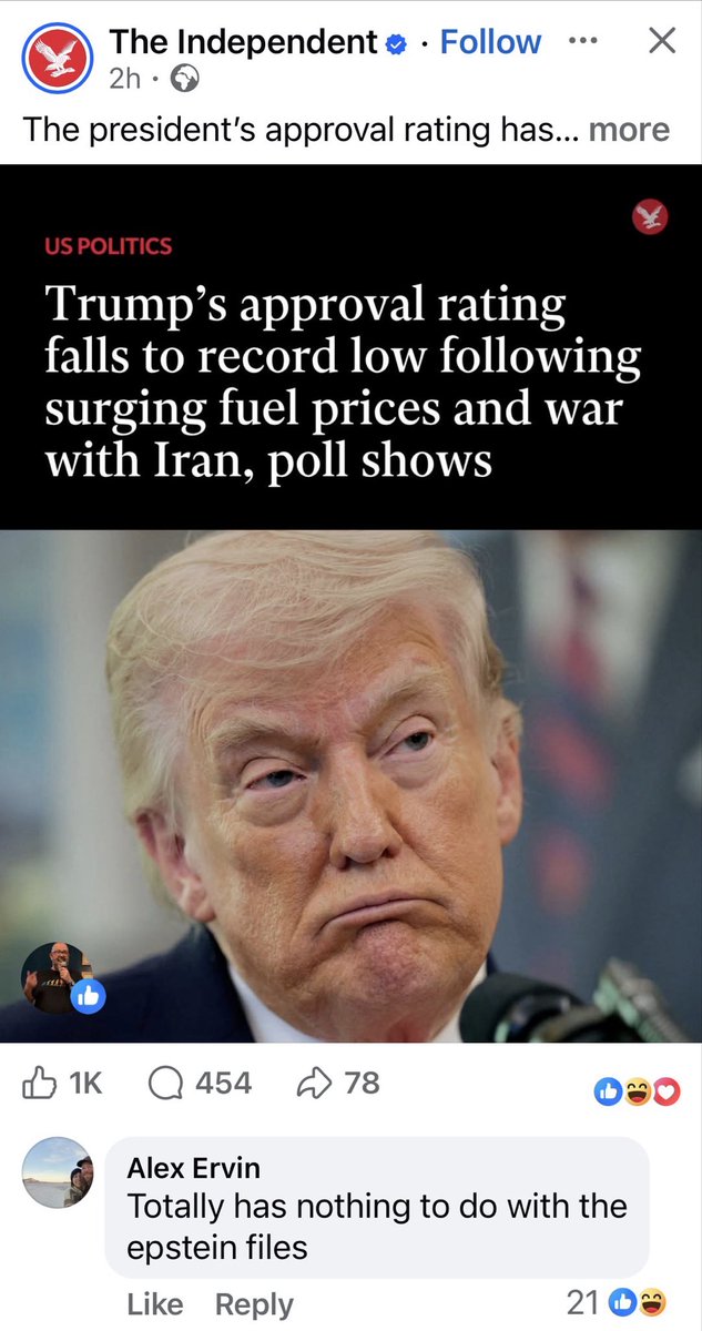 Wolfin' Howl tweet media