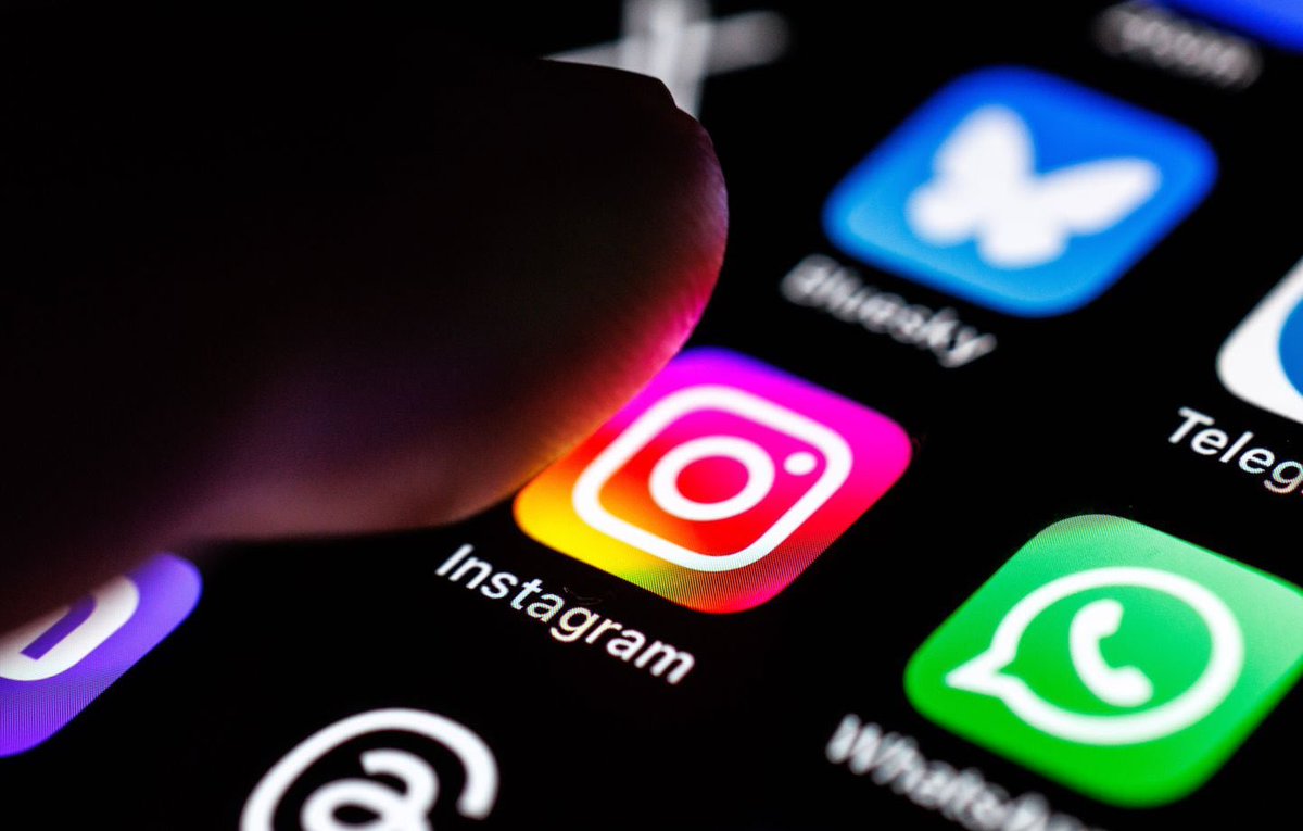 Little Think Tank tweet media