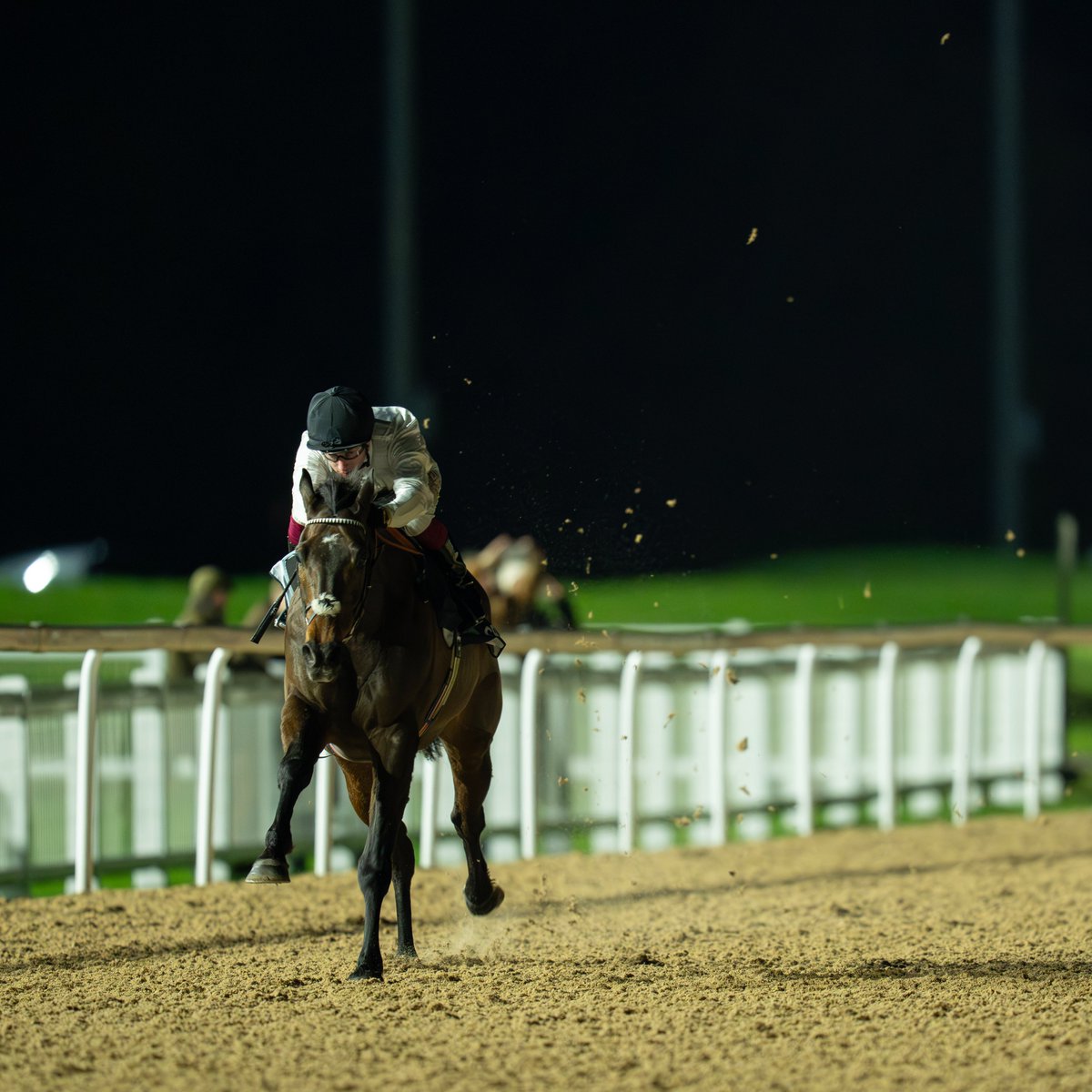 CONSTITUTION HILL wins the Virgin Bet Novice Stakes ⚪️⚫️
