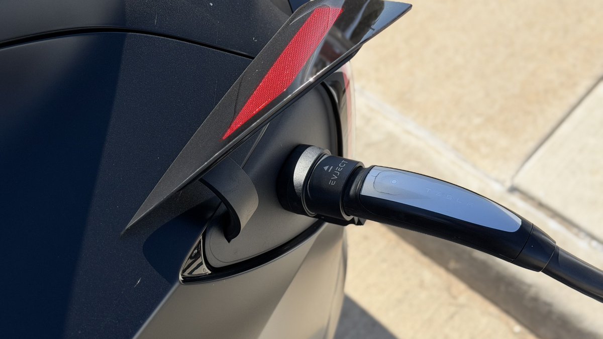 Nic Cruz Patane tweet media